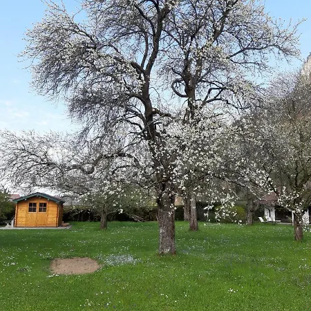Haus Polleichtner Apartment