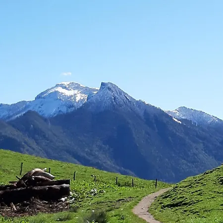 Appartement Haus Polleichtner *