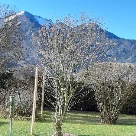 Lejlighed Haus Polleichtner *